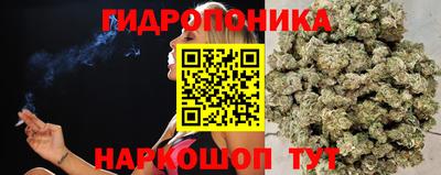 apvp Обнинск