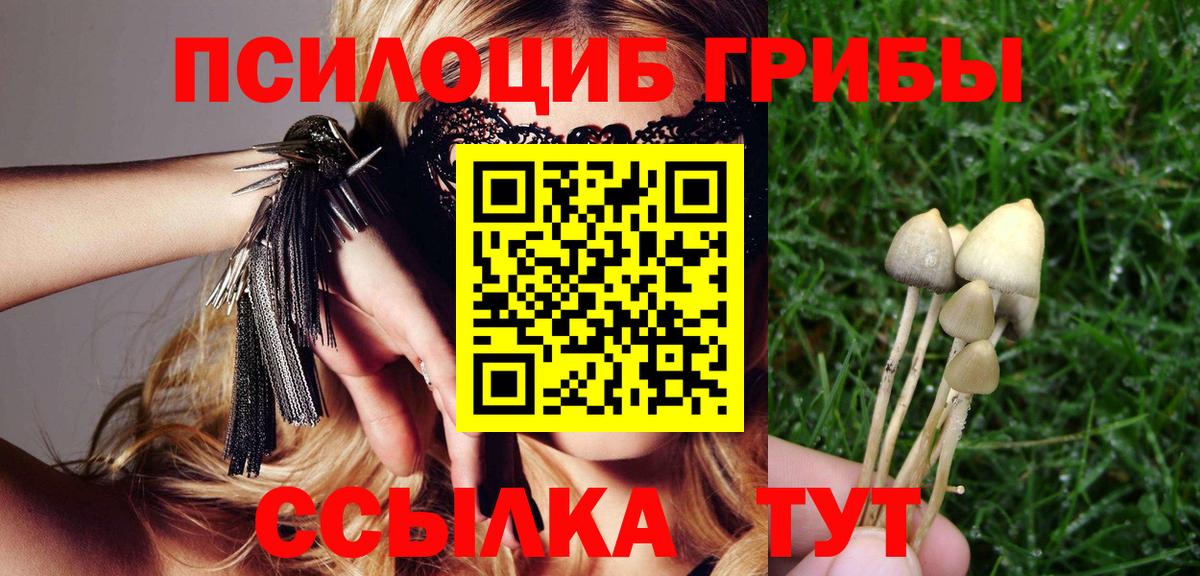 Псилоцибиновые грибы MAGIC MUSHROOMS  Вход с VPN  Сертолово 